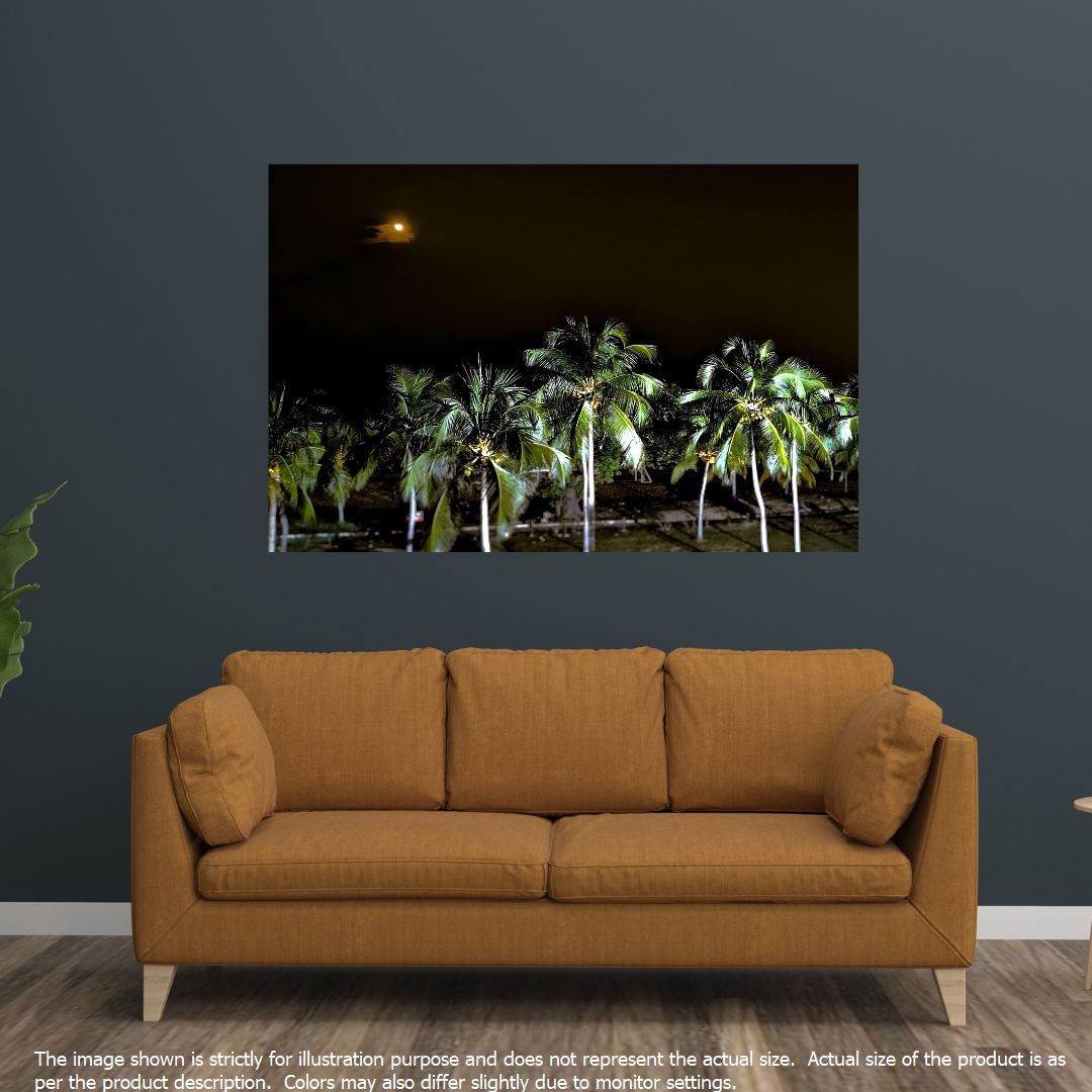 Coconut Trees with Ocean and Moon