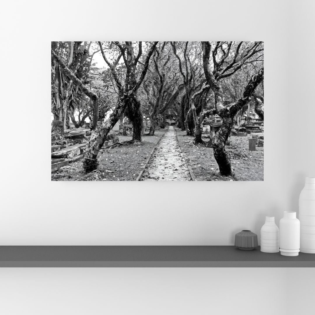 Protestant Cemetery (B&W)