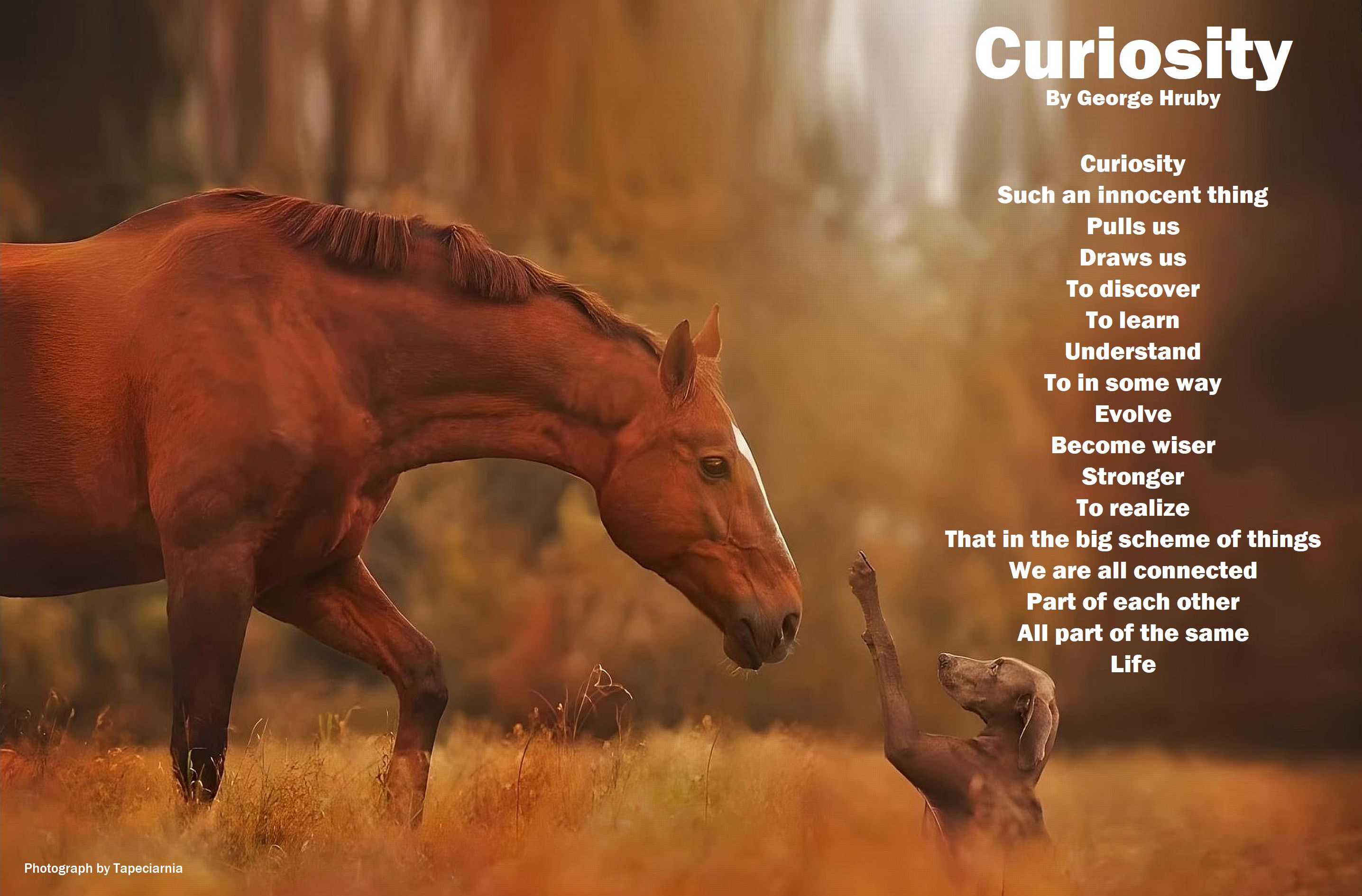 Curiosity