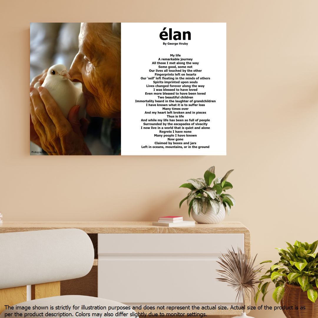 Elan