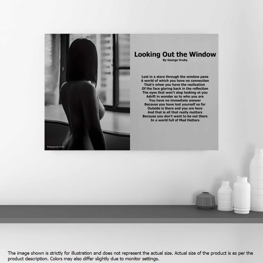 Looking Out The Window