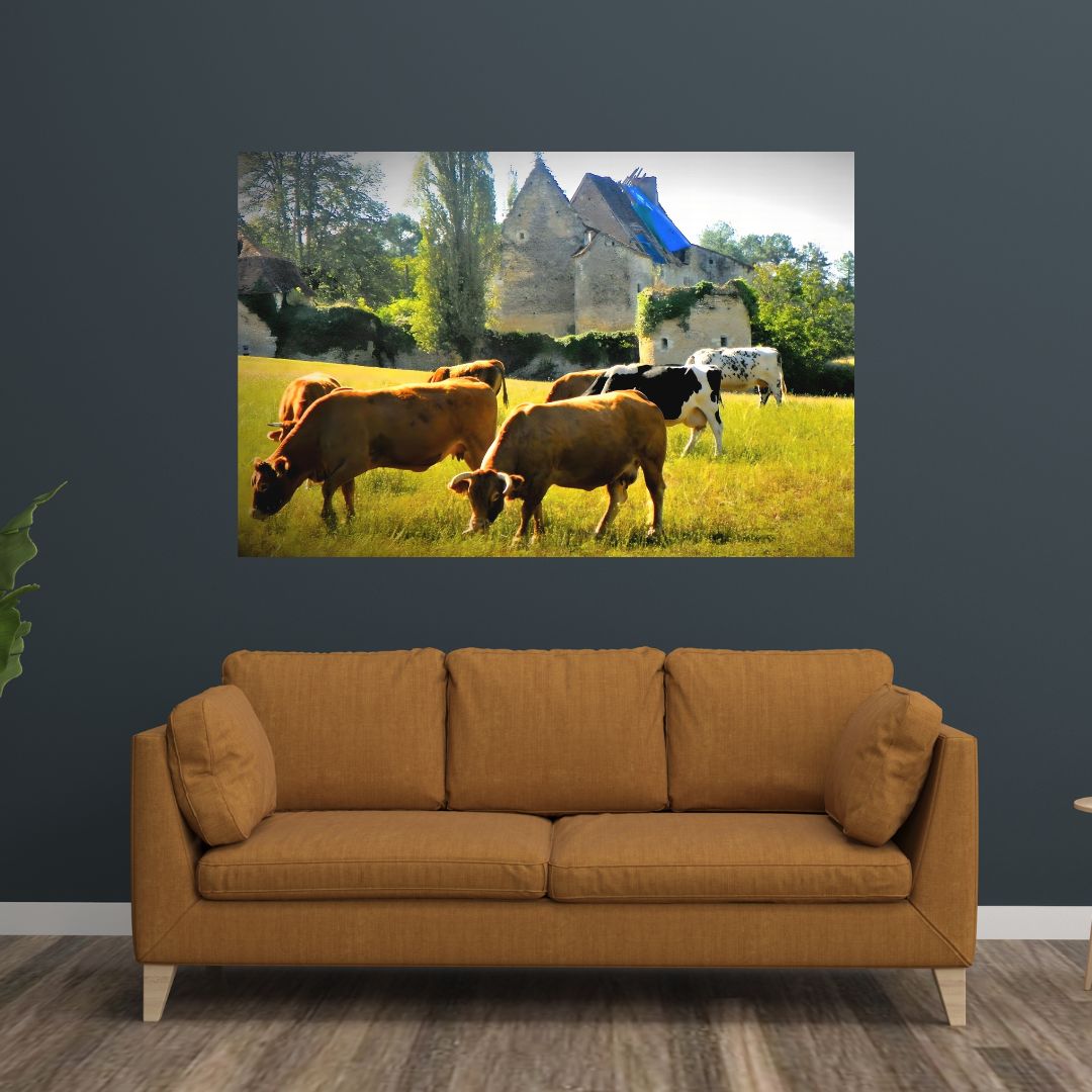 Old Castle in Countryside