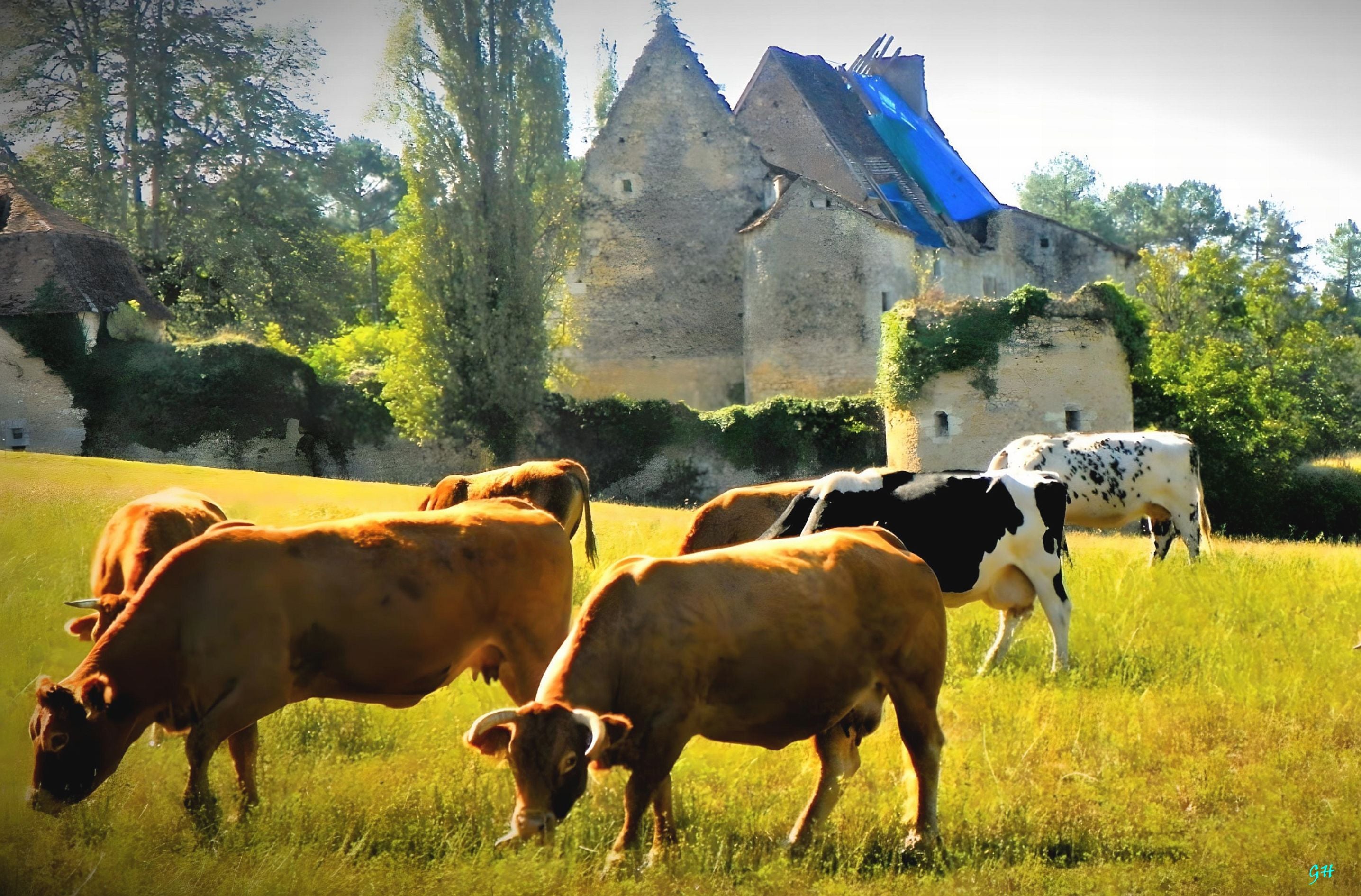 Old Castle in Countryside