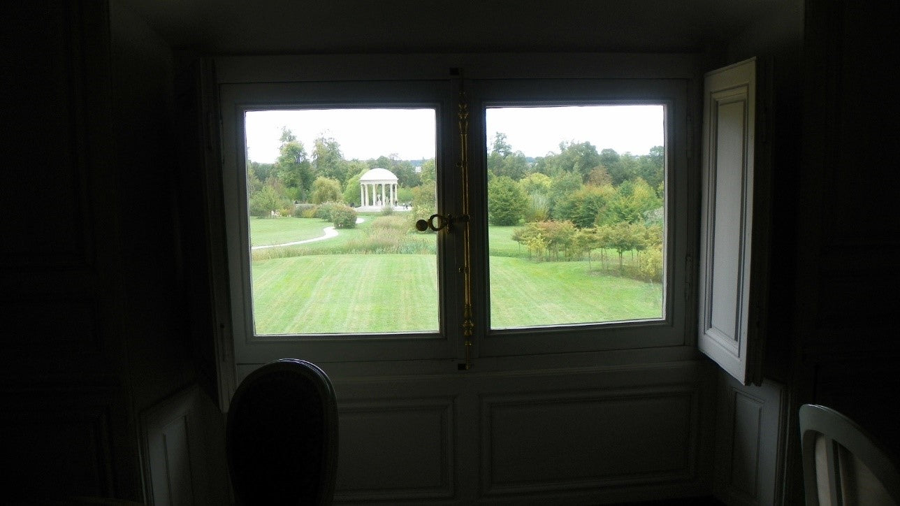 The Window