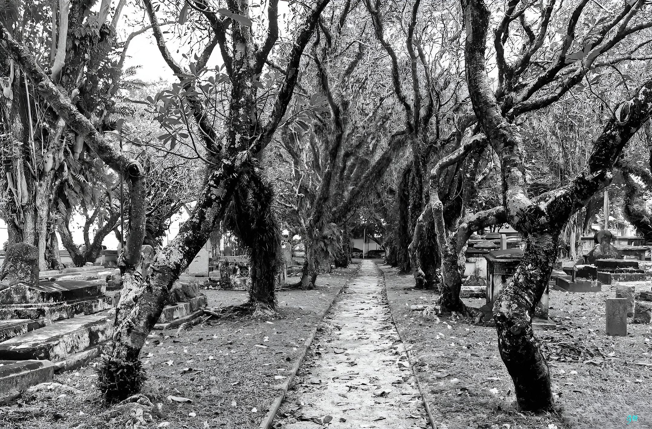 Protestant Cemetery (B&W)