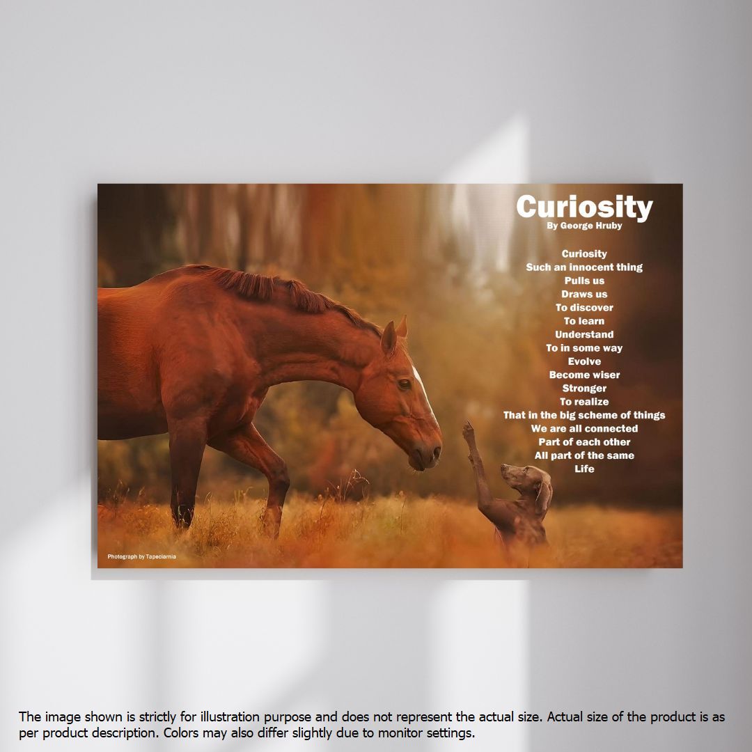 Curiosity