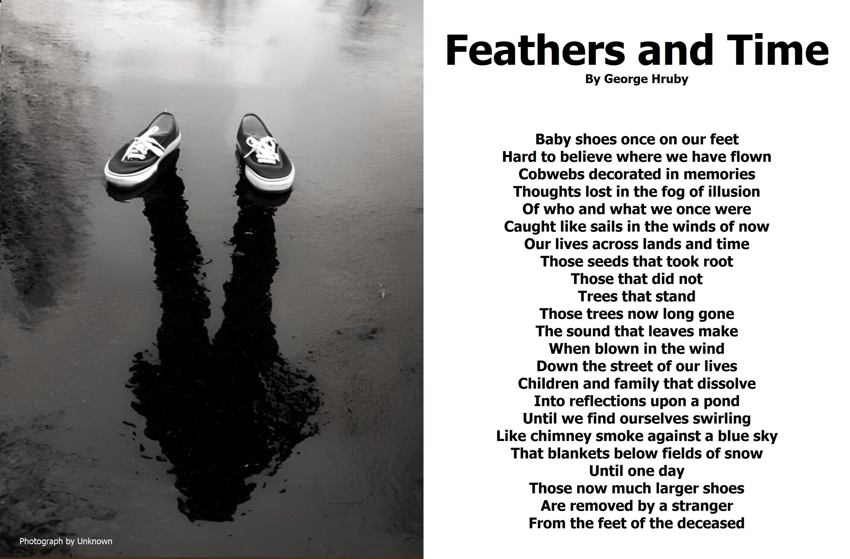 Feathers and Time