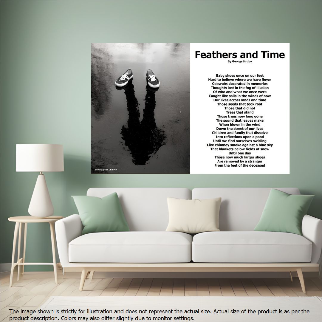 Feathers and Time