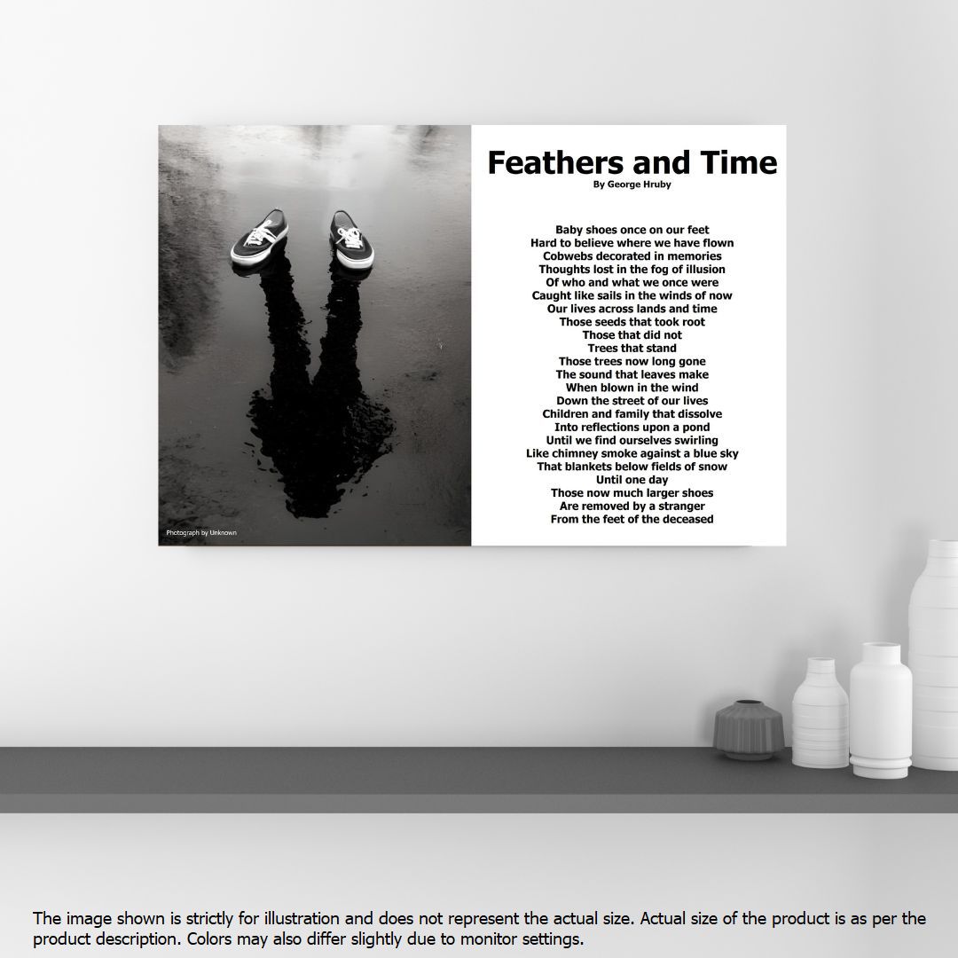 Feathers and Time