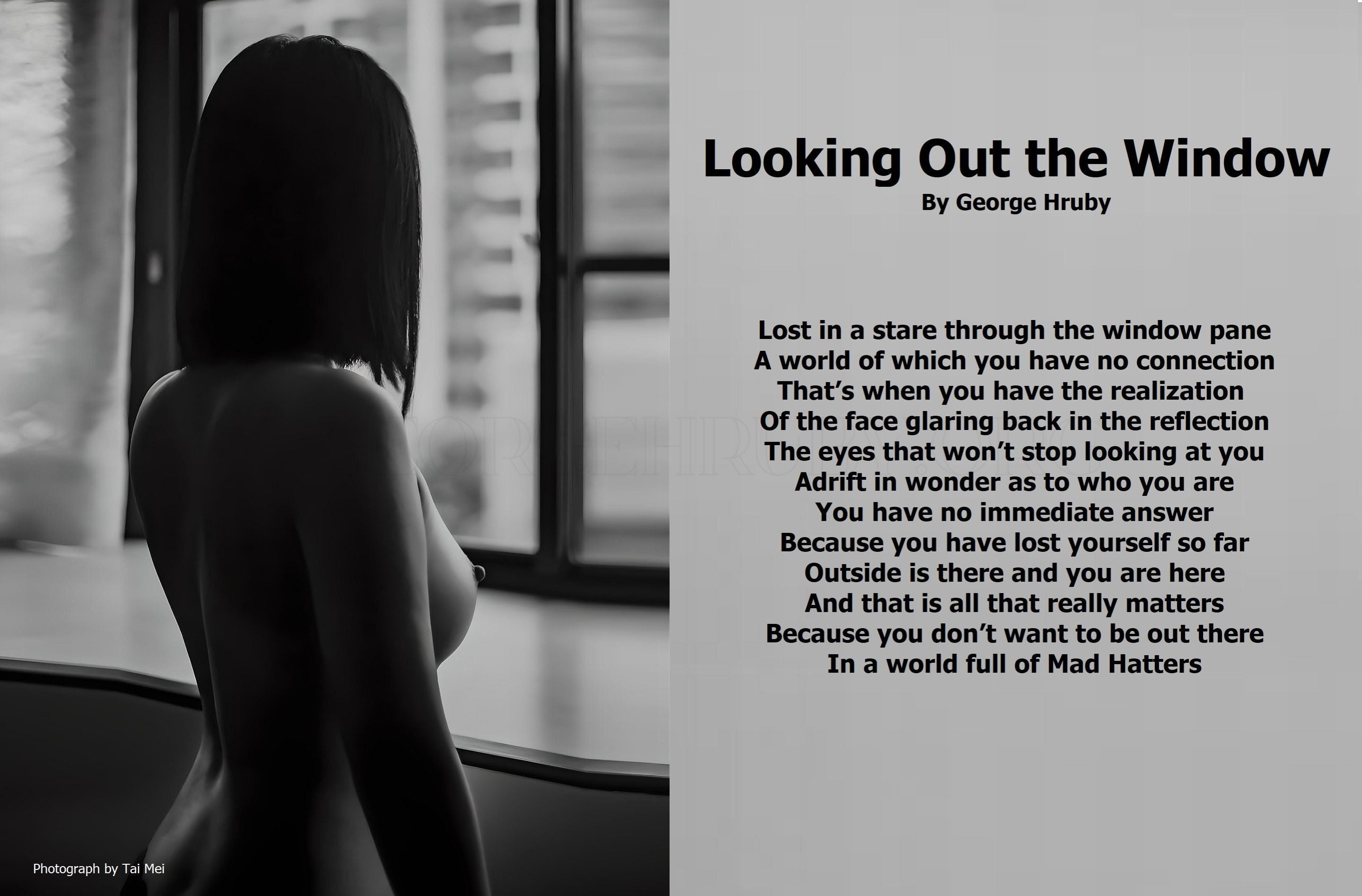 Looking Out The Window