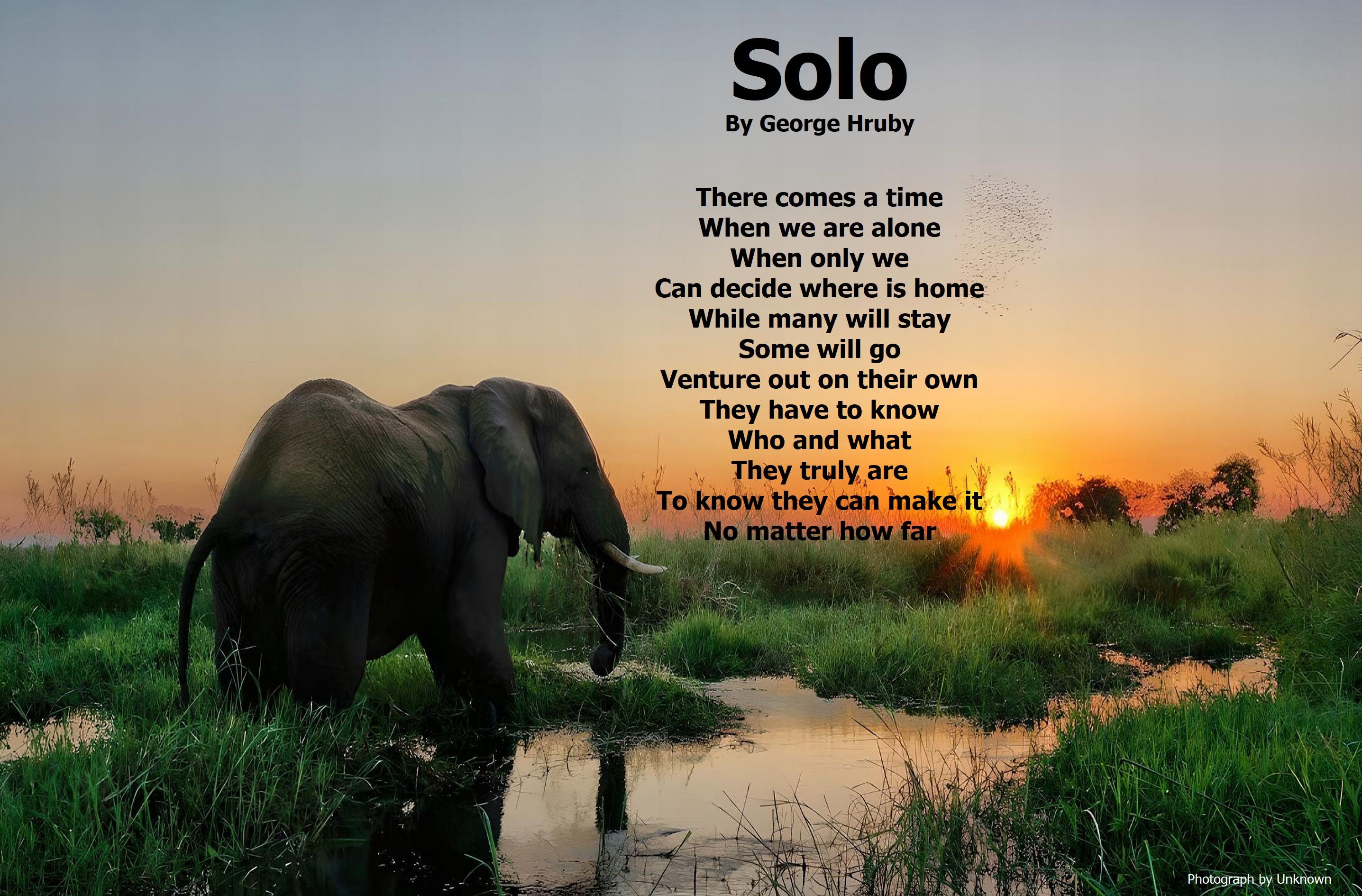Solo