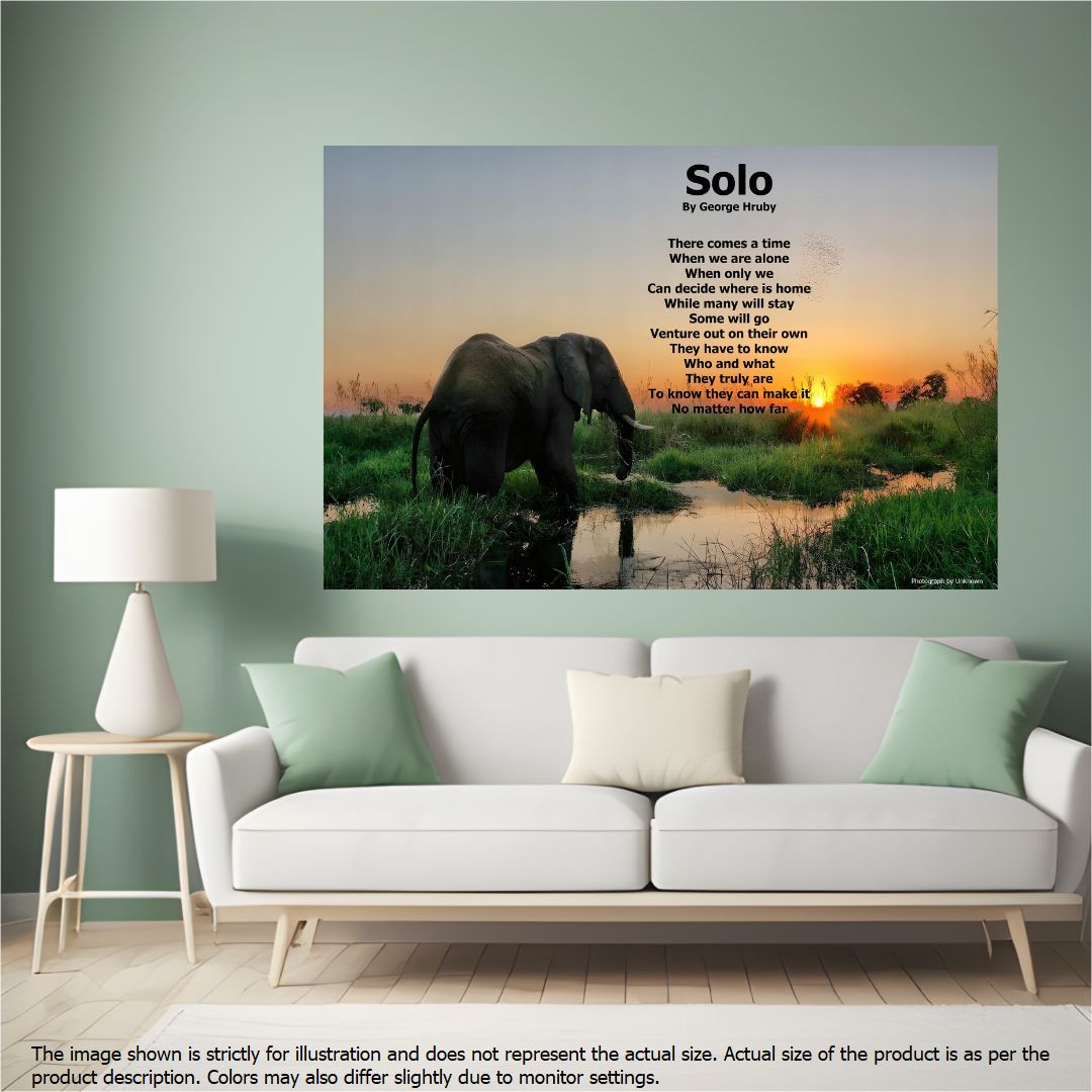 Solo
