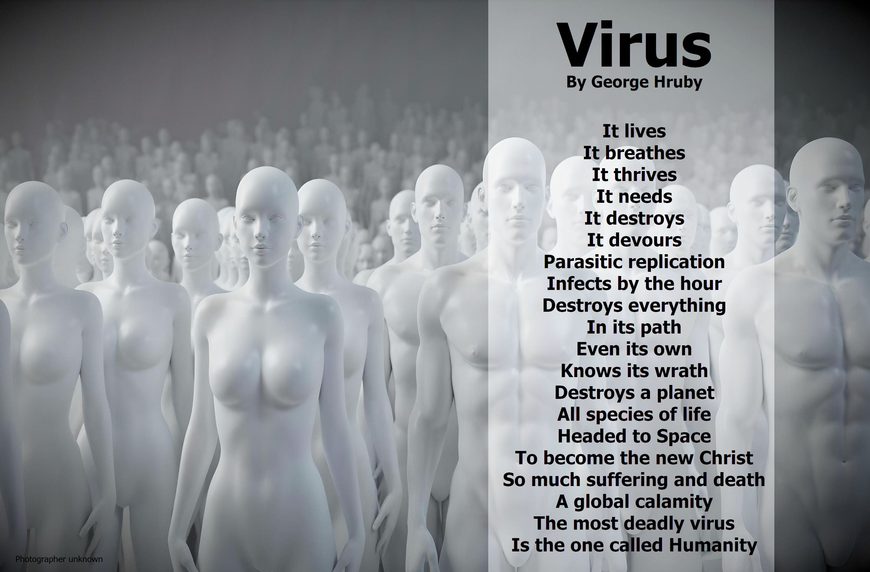 Virus