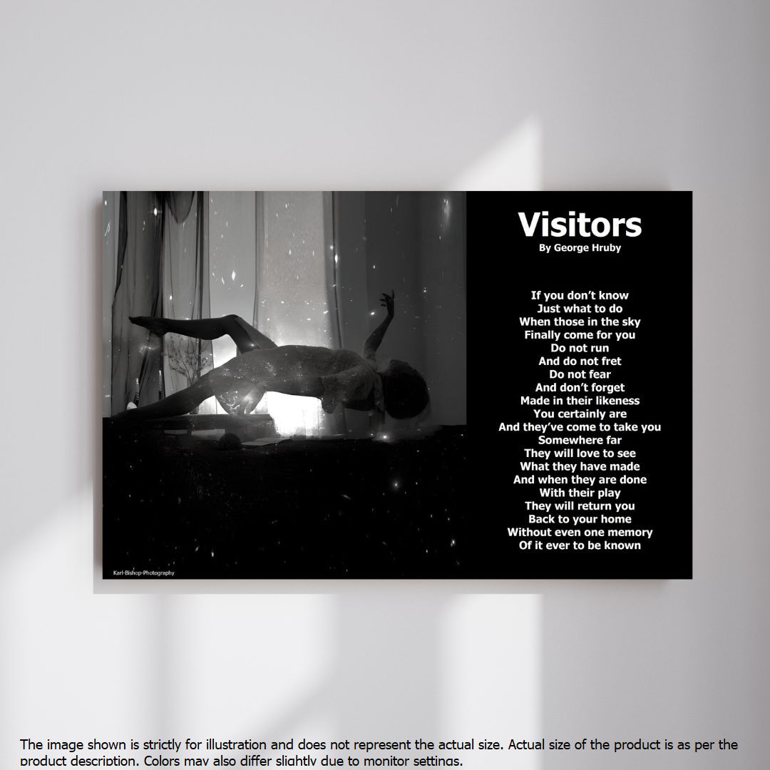Visitors